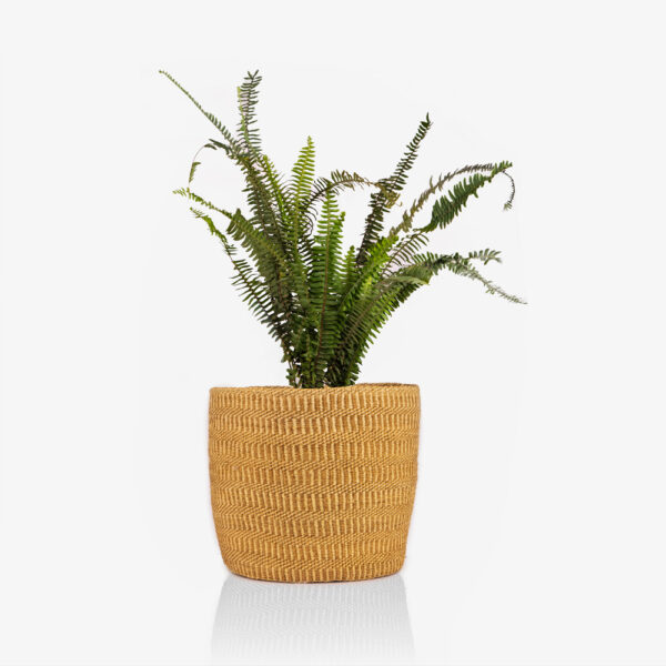 Targo Kiondoo Sisal Planter